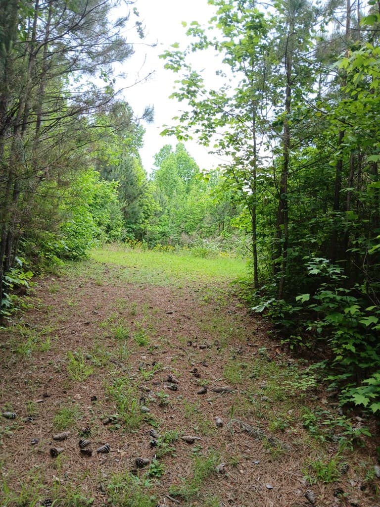 7.52 Ac. Hicks Ford Road, Ellijay GA 30540 - Photo