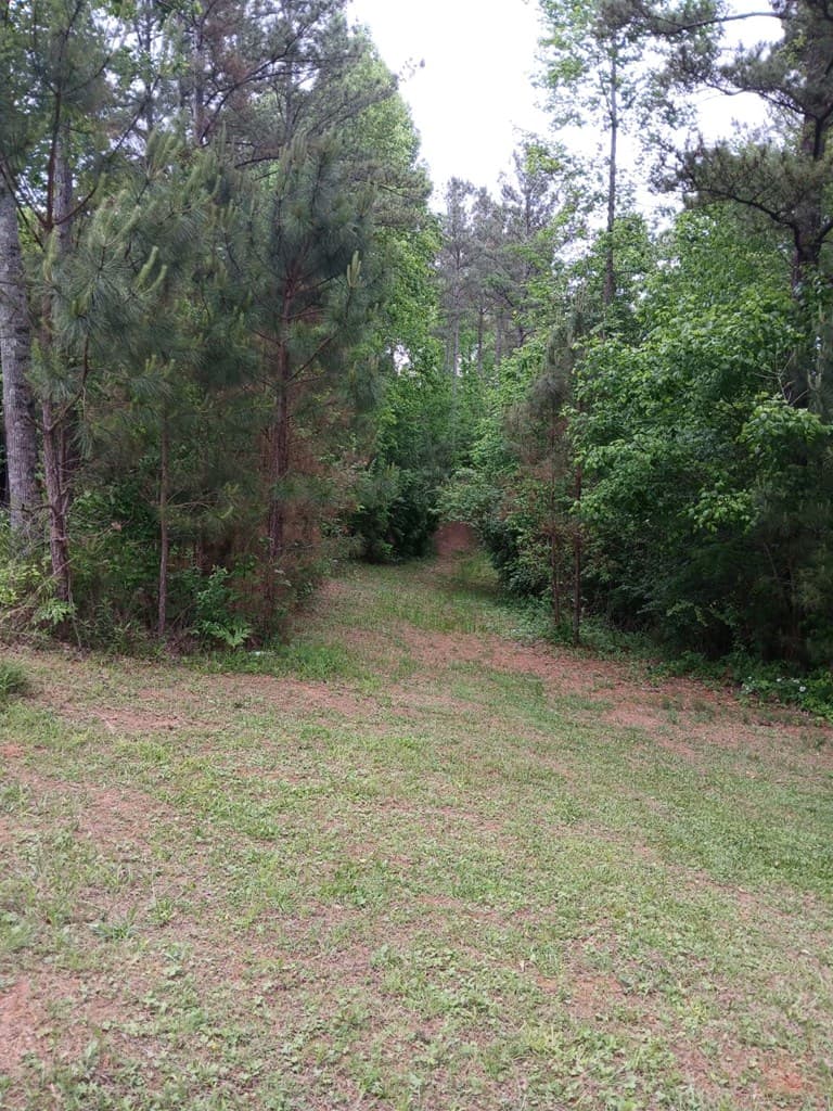 7.52 Ac. Hicks Ford Road, Ellijay GA 30540 - Photo