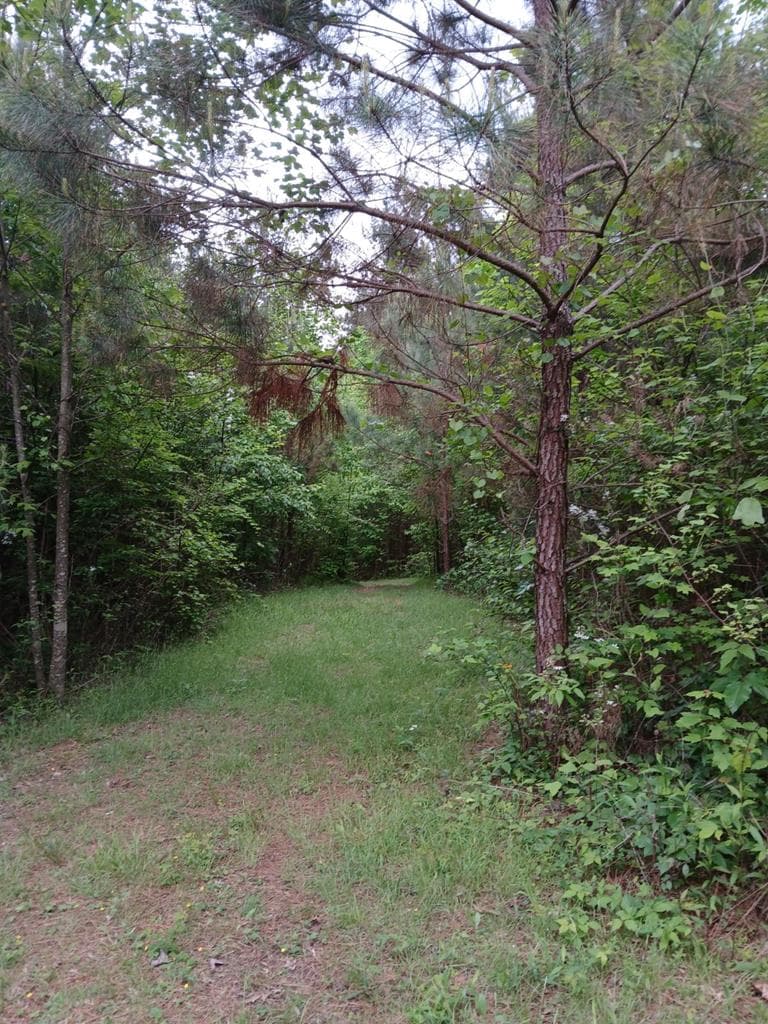 7.52 Ac. Hicks Ford Road, Ellijay GA 30540 - Primary photo