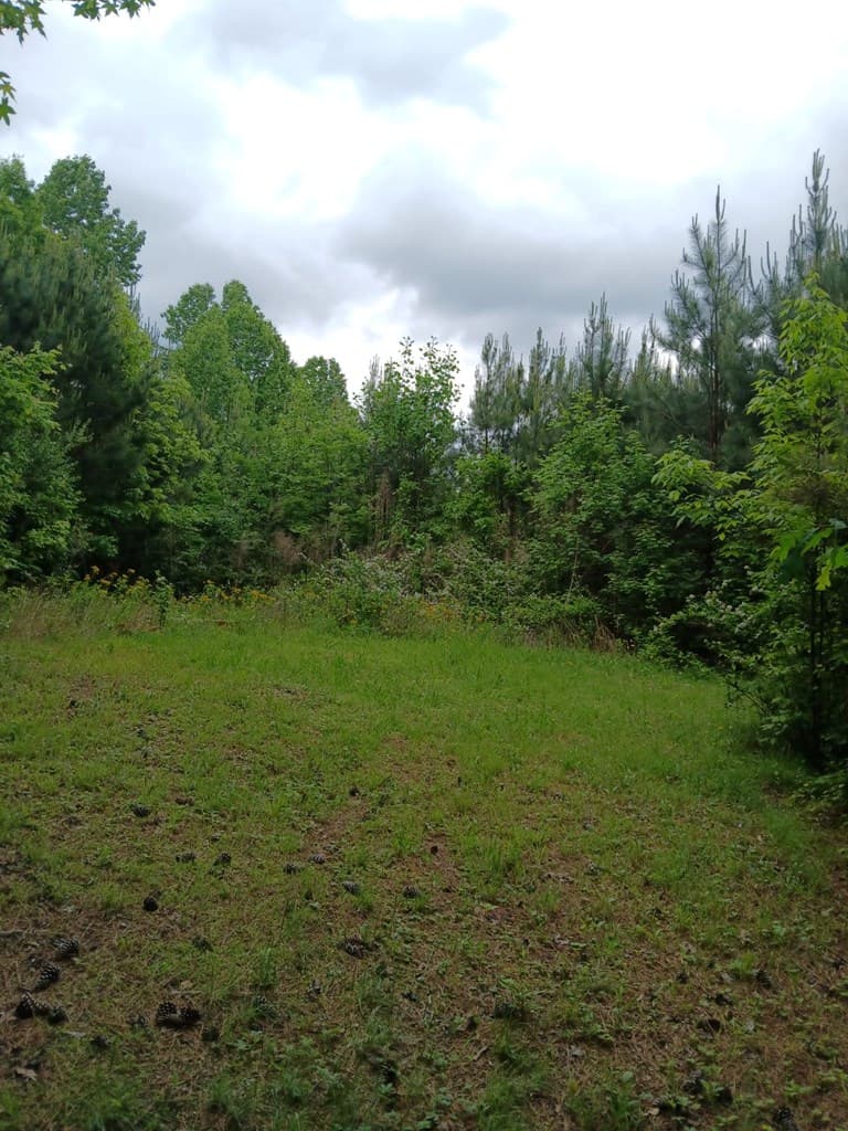 7.52 Ac. Hicks Ford Road, Ellijay GA 30540 - Photo