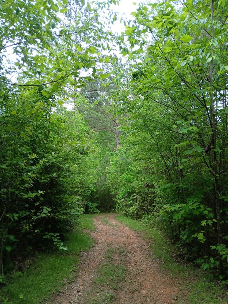 7.52 Ac. Hicks Ford Road, Ellijay GA 30540 - Photo