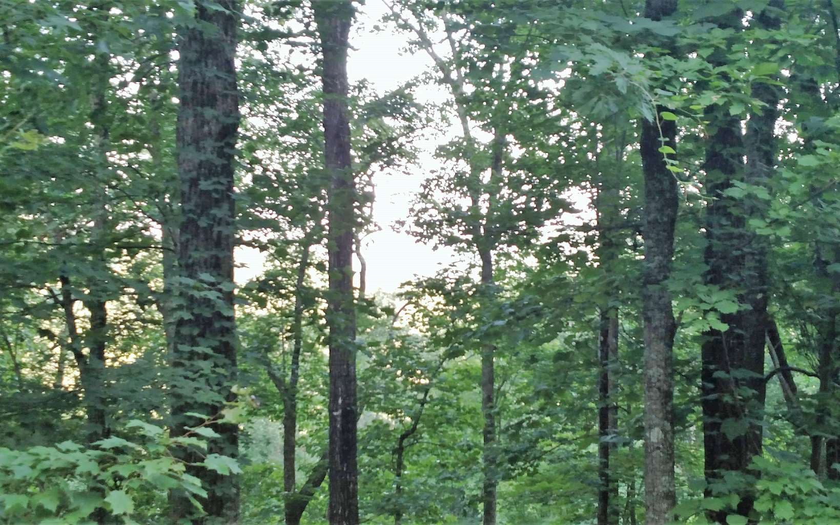11,16&17 Oak Ridge North, Hayesville NC 28904 - Photo