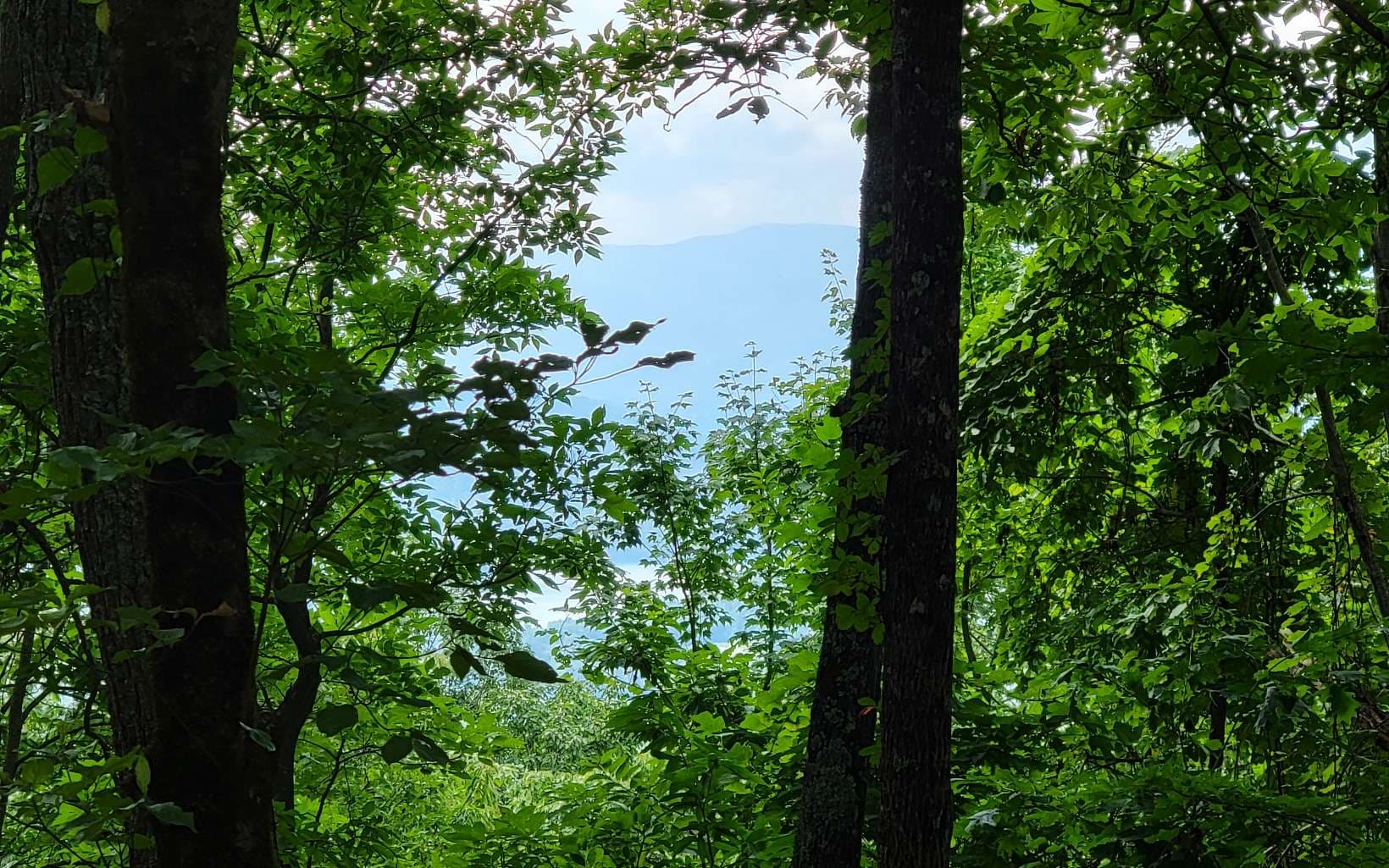 24 & 25 Oak Ridge North, Hayesville NC 28904 - Photo