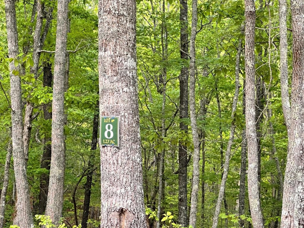Lot 8 Settawig Overlook, Hayesville NC 28904 - Photo