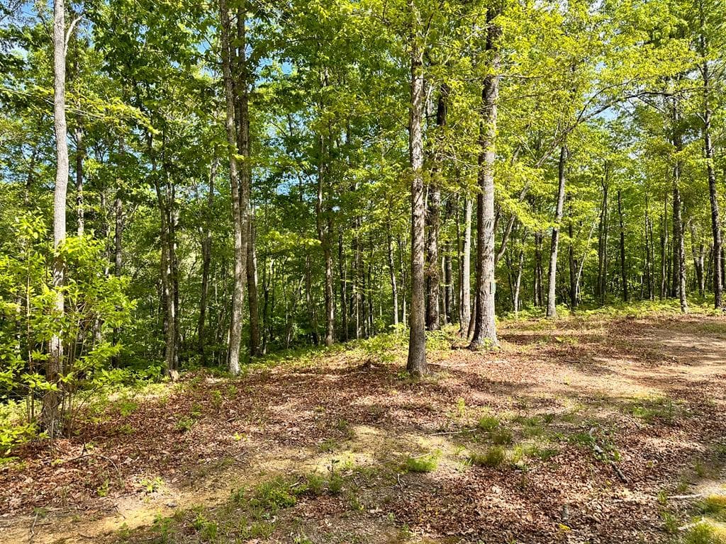 Lot 8 Settawig Overlook, Hayesville NC 28904 - Photo