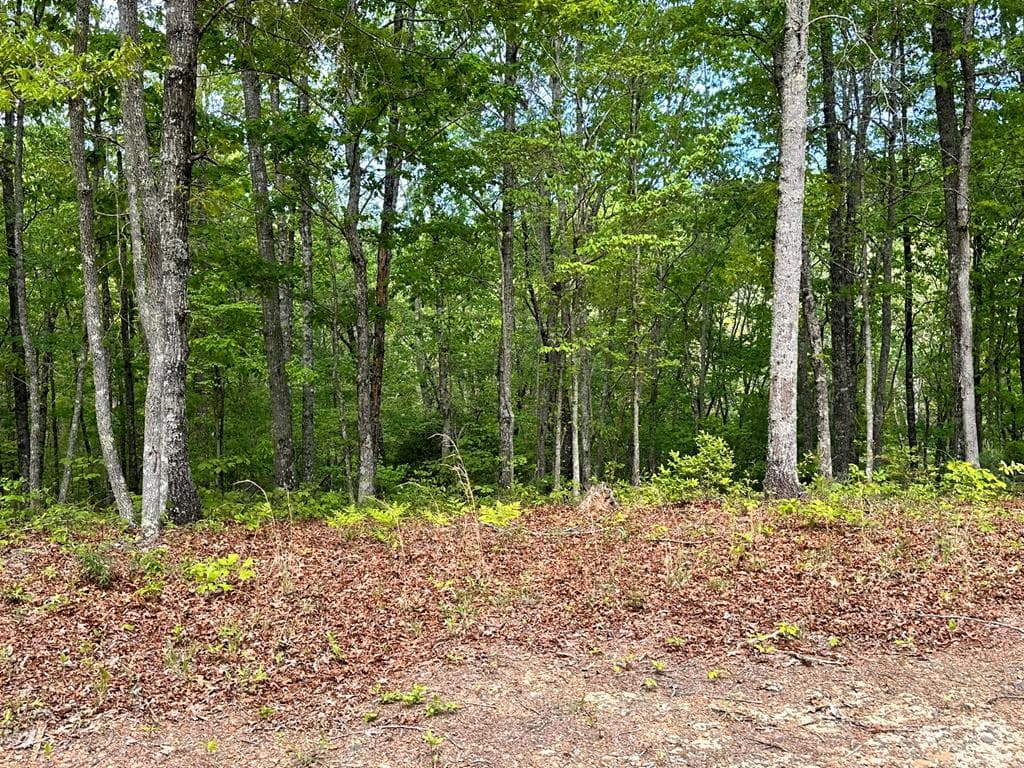 Lot 8 Settawig Overlook, Hayesville NC 28904 - Photo