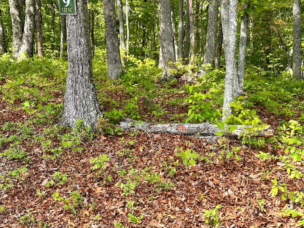Lot 9 Settawig Overlook, Hayesville NC 28904 - Photo