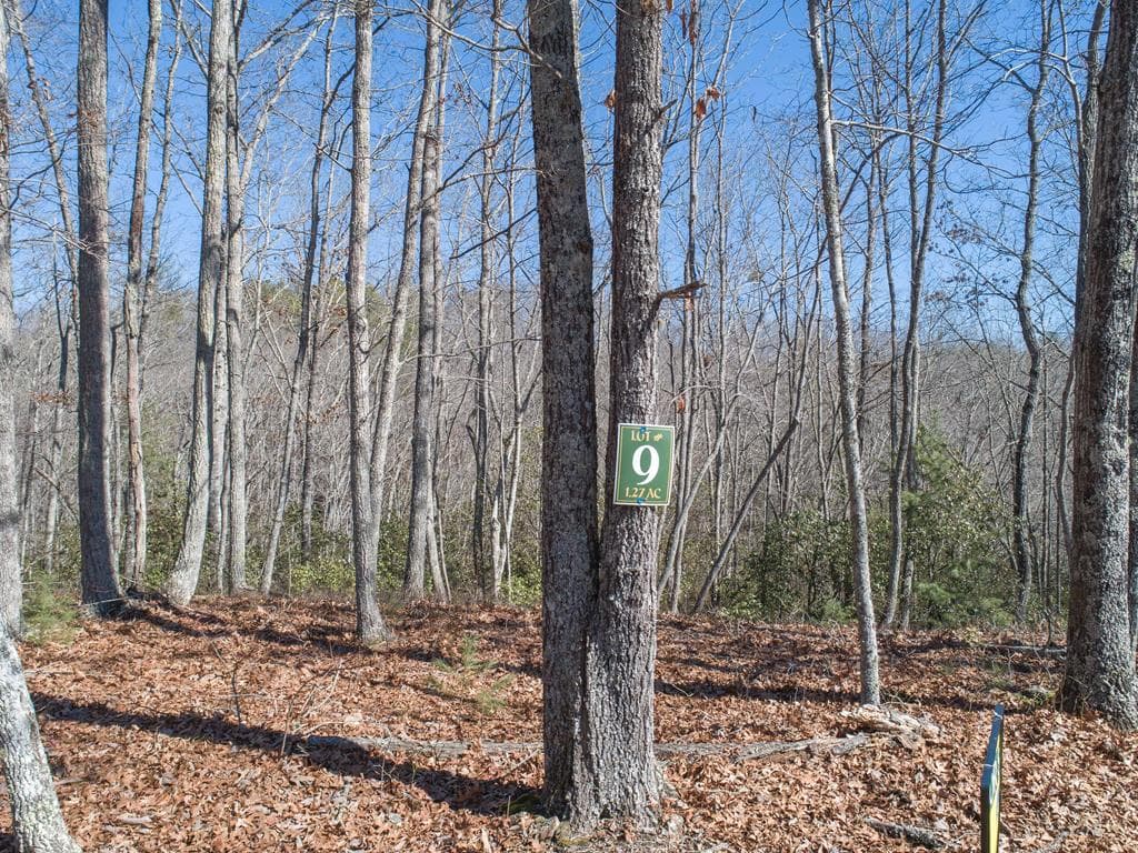 Lot 9 Settawig Overlook, Hayesville NC 28904 - Photo