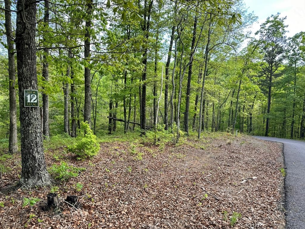 Lot 12 Settawig Overlook, Hayesville NC 28904 - Photo
