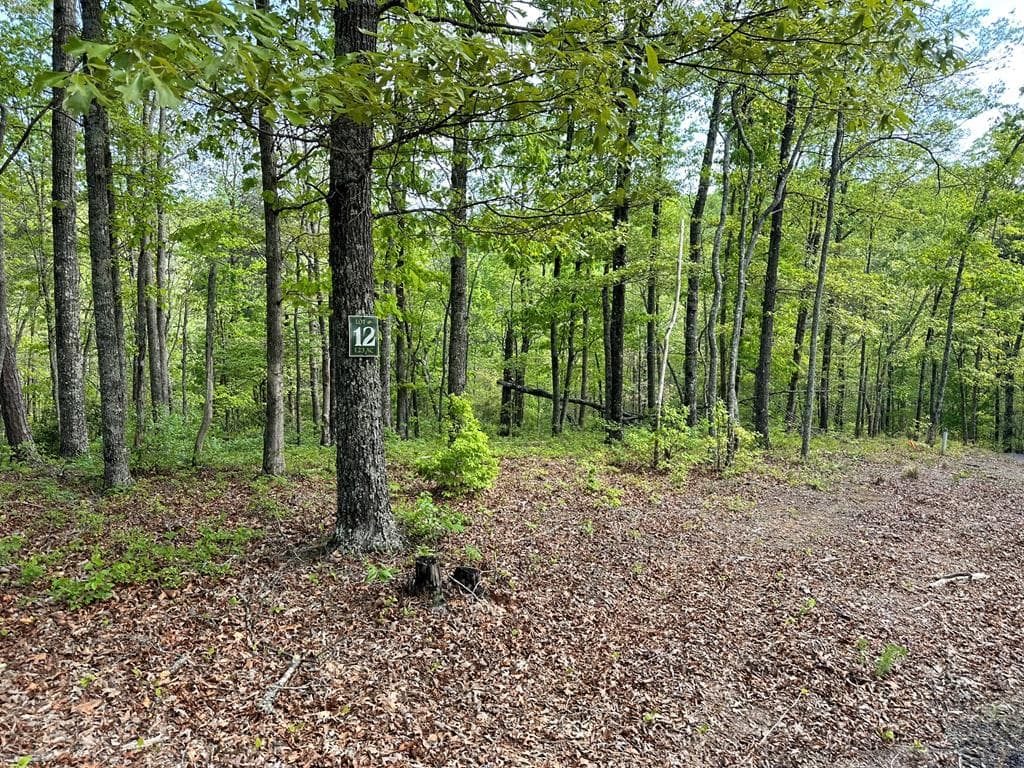 Lot 12 Settawig Overlook, Hayesville NC 28904 - Photo