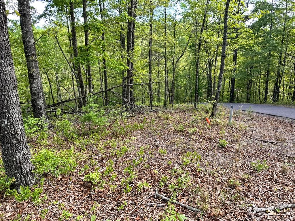 Lot 12 Settawig Overlook, Hayesville NC 28904 - Photo