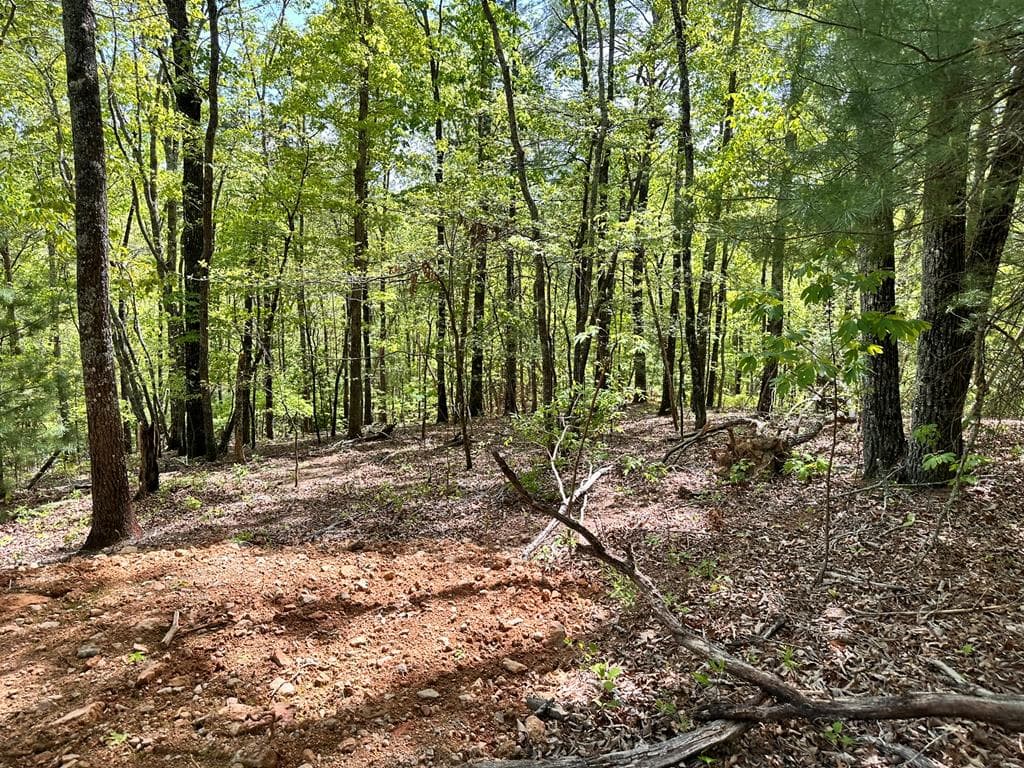 Lot 13 Settawig Overlook, Hayesville NC 28904 - Photo
