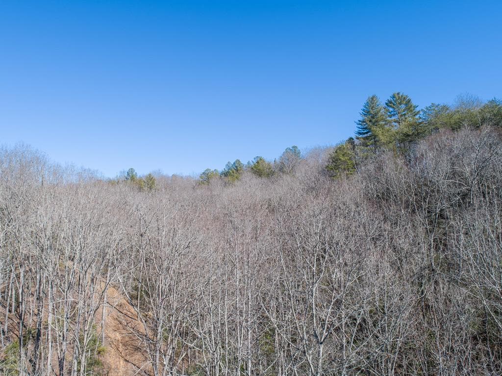 Lot 13 Settawig Overlook, Hayesville NC 28904 - Photo