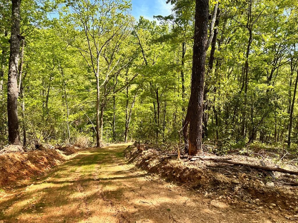 Lot 13 Settawig Overlook, Hayesville NC 28904 - Photo