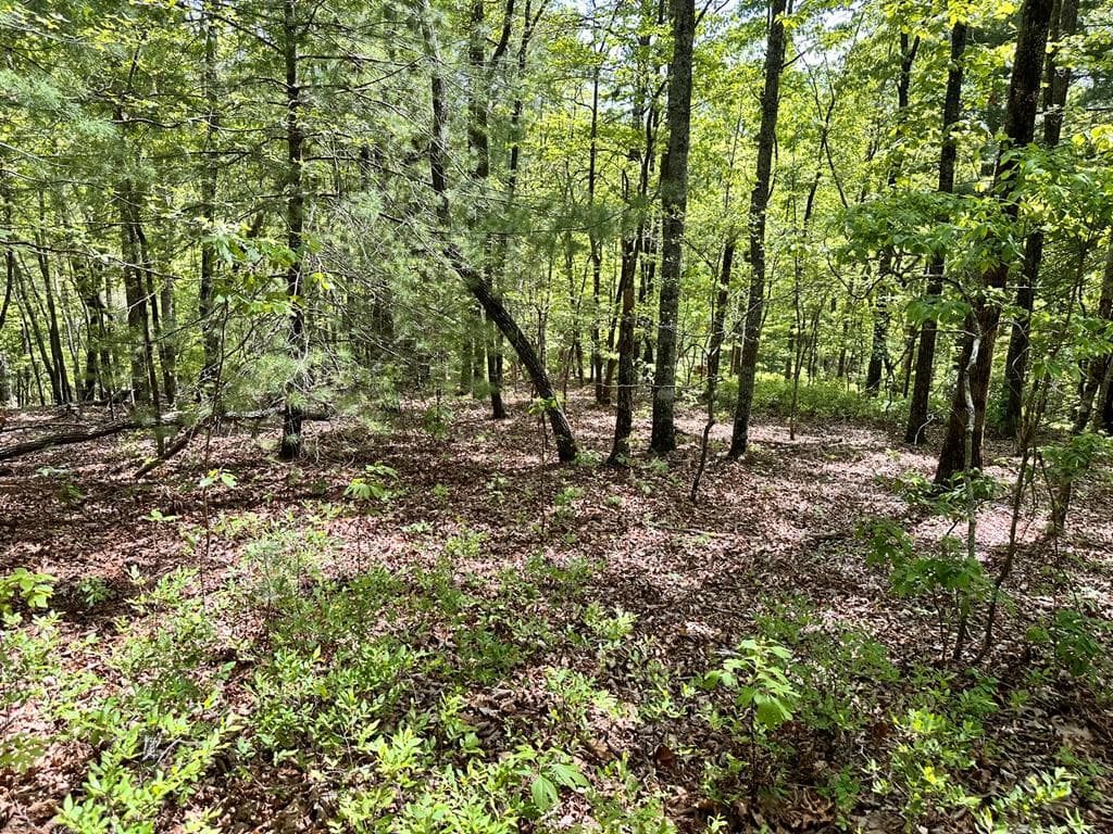 Lot 13 Settawig Overlook, Hayesville NC 28904 - Photo