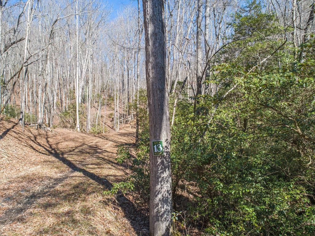 Lot 13 Settawig Overlook, Hayesville NC 28904 - Photo