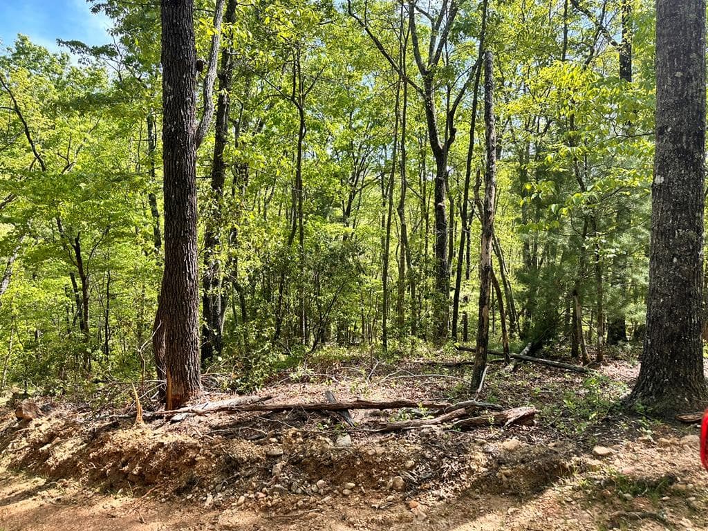 Lot 13 Settawig Overlook, Hayesville NC 28904 - Photo