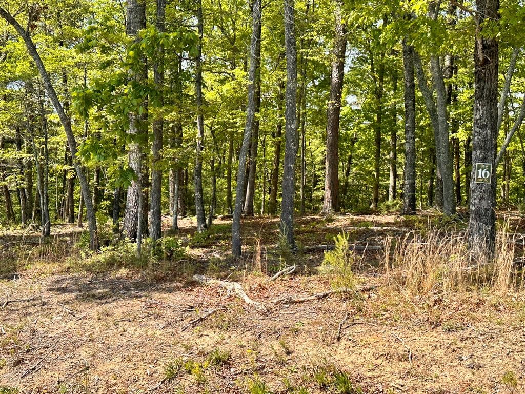 Lot 16 Settawig Overlook, Hayesville NC 28904 - Photo