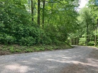 LOT 1667 Fugue Drive, Ellijay GA 30540 - Photo