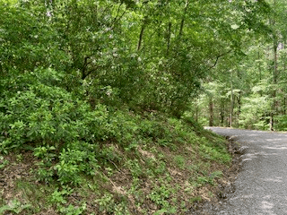 LOT 1667 Fugue Drive, Ellijay GA 30540 - Photo