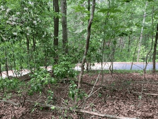 LOT 1667 Fugue Drive, Ellijay GA 30540 - Photo
