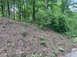 LOT 1667 Fugue Drive, Ellijay GA 30540 - Photo