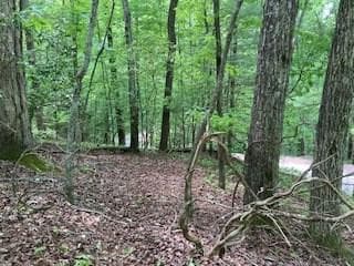 LOT 1667 Fugue Drive, Ellijay GA 30540 - Primary photo