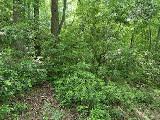 LOT 1667 Fugue Drive, Ellijay GA 30540 - Photo