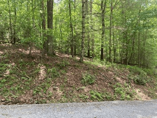 LOT 1667 Fugue Drive, Ellijay GA 30540 - Photo