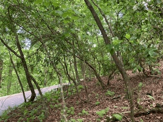 LOT 1667 Fugue Drive, Ellijay GA 30540 - Photo