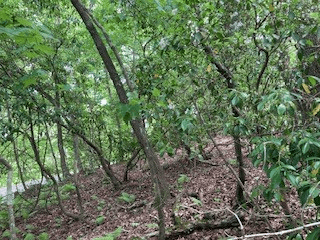 LOT 1667 Fugue Drive, Ellijay GA 30540 - Photo