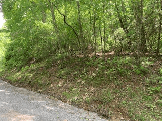 LOT 1667 Fugue Drive, Ellijay GA 30540 - Photo