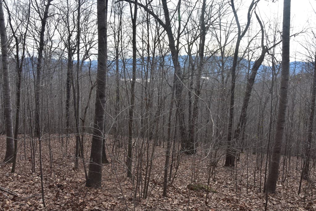 Lot #50 Broken Arrow, Hayesville NC 28904 - Photo