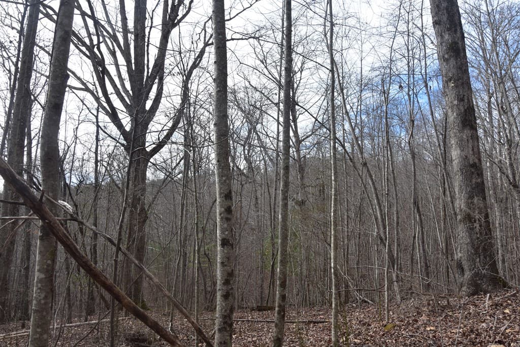 Lot #50 Broken Arrow, Hayesville NC 28904 - Photo