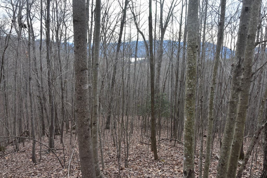 Lot #50 Broken Arrow, Hayesville NC 28904 - Photo