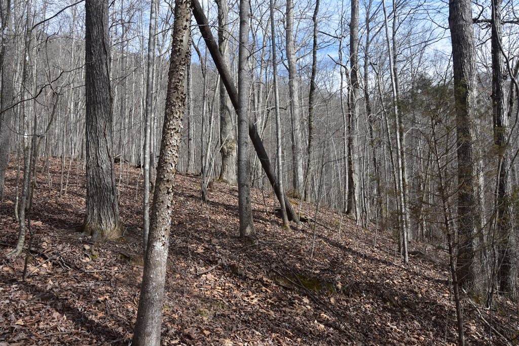 Lot #50 Broken Arrow, Hayesville NC 28904 - Photo