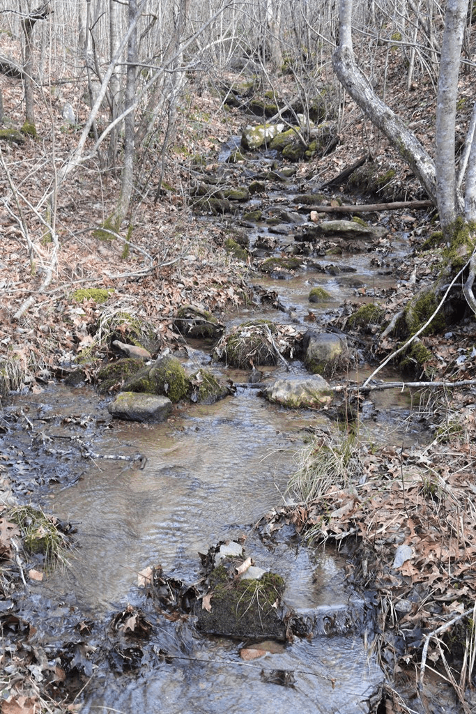 Lot #50 Broken Arrow, Hayesville NC 28904 - Photo