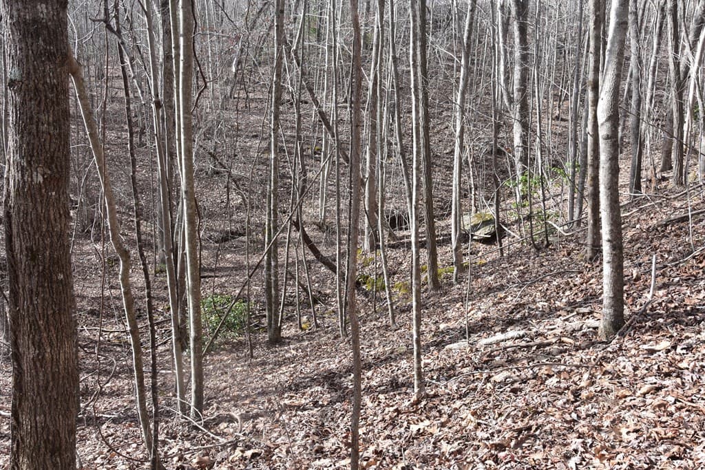Lot #50 Broken Arrow, Hayesville NC 28904 - Photo