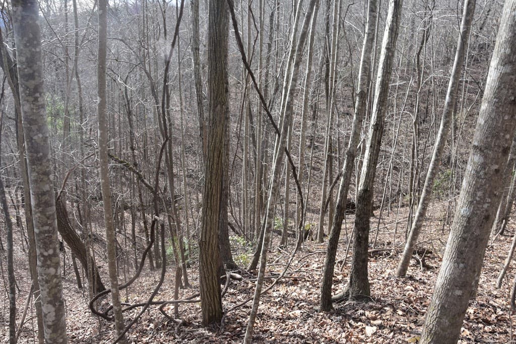 Lot #50 Broken Arrow, Hayesville NC 28904 - Photo