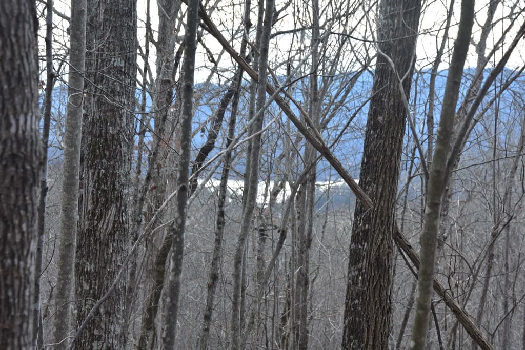 Lot #50 Broken Arrow, Hayesville NC 28904 - Photo