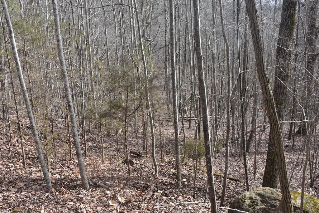 Lot #50 Broken Arrow, Hayesville NC 28904 - Photo