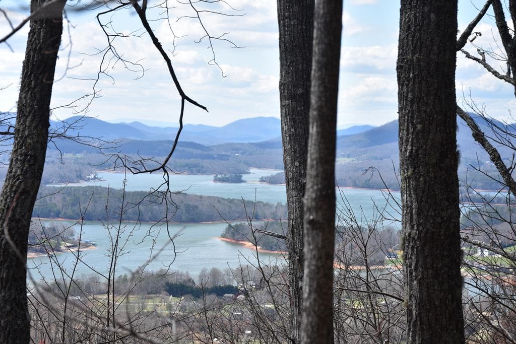 Lot #53 Highland Trace, Hayesville NC 28904 - Photo