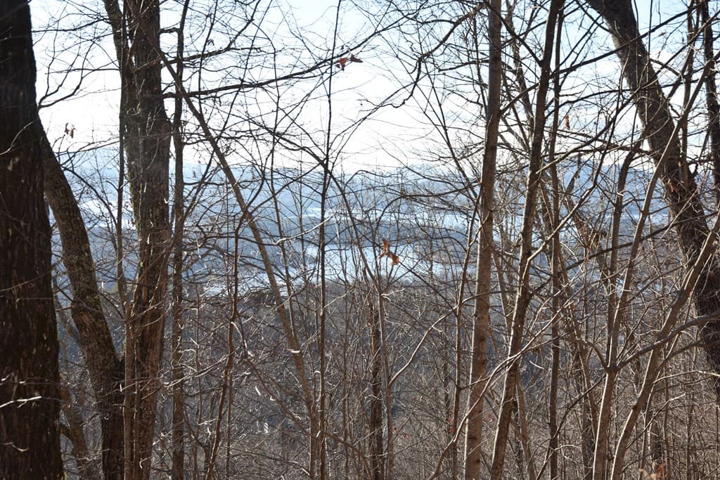 Lot #53 Highland Trace, Hayesville NC 28904 - Photo