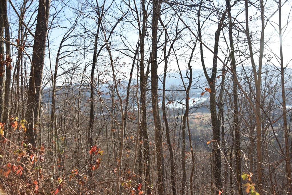 Lot #53 Highland Trace, Hayesville NC 28904 - Photo