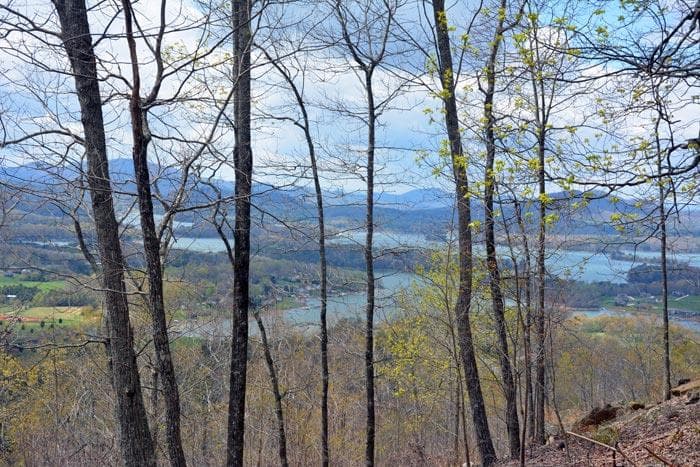 Lot #53 Highland Trace, Hayesville NC 28904 - Photo