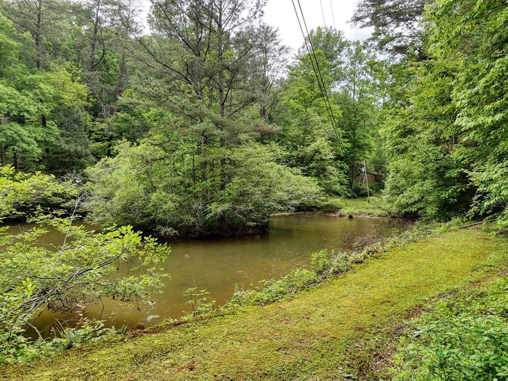 562 New Hope Club Road, Ellijay GA 30540 - Photo