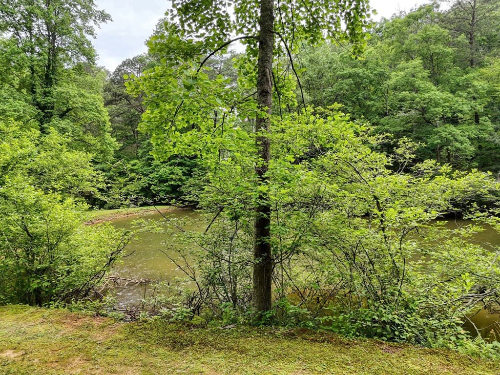562 New Hope Club Road, Ellijay GA 30540 - Photo