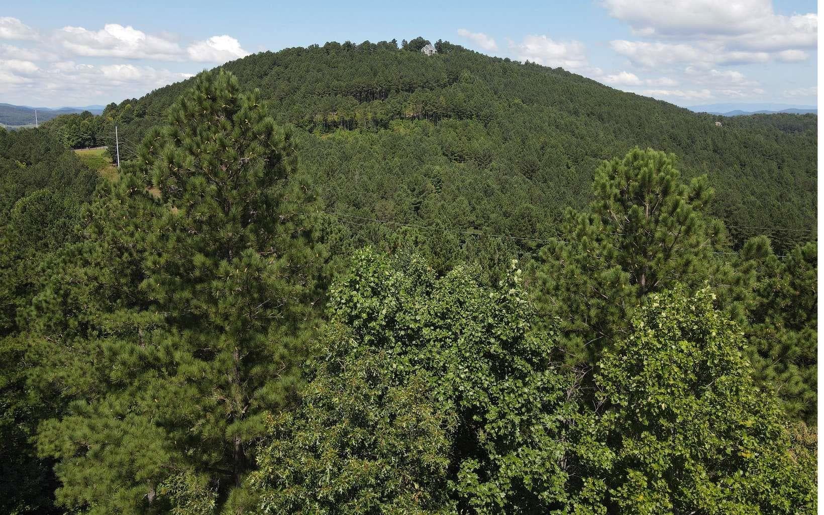 LT 62 Ridge Peak View, Blairsville GA 30512 - Photo