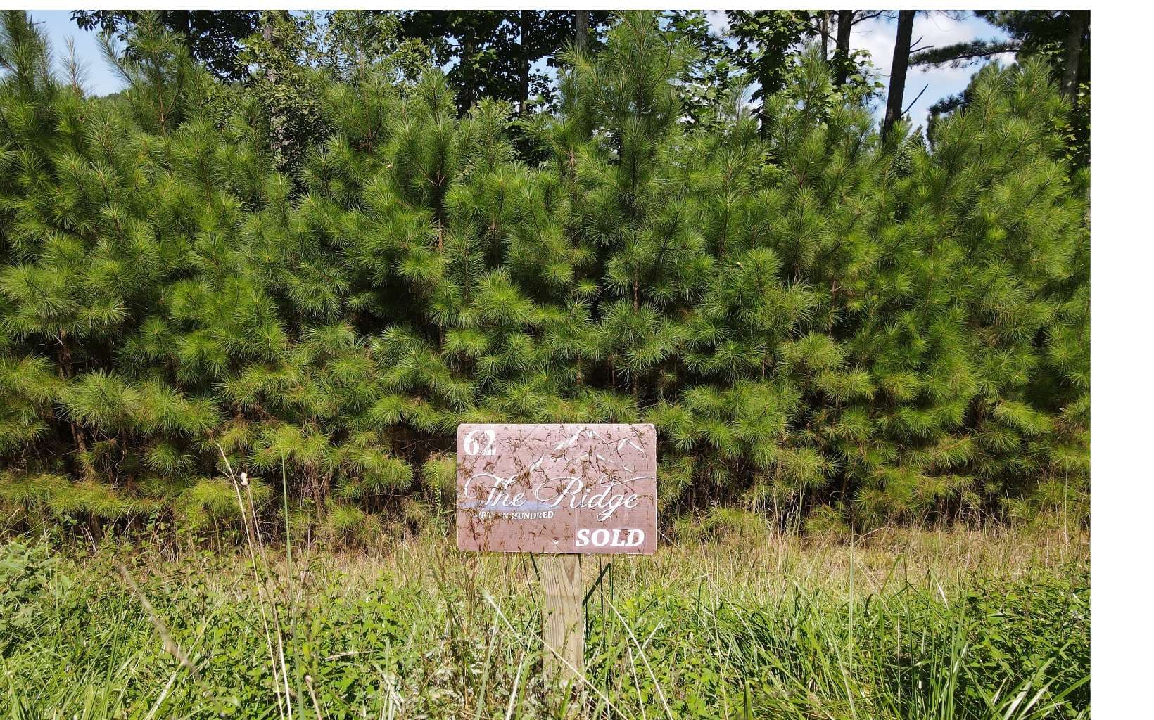 LT 62 Ridge Peak View, Blairsville GA 30512 - Photo