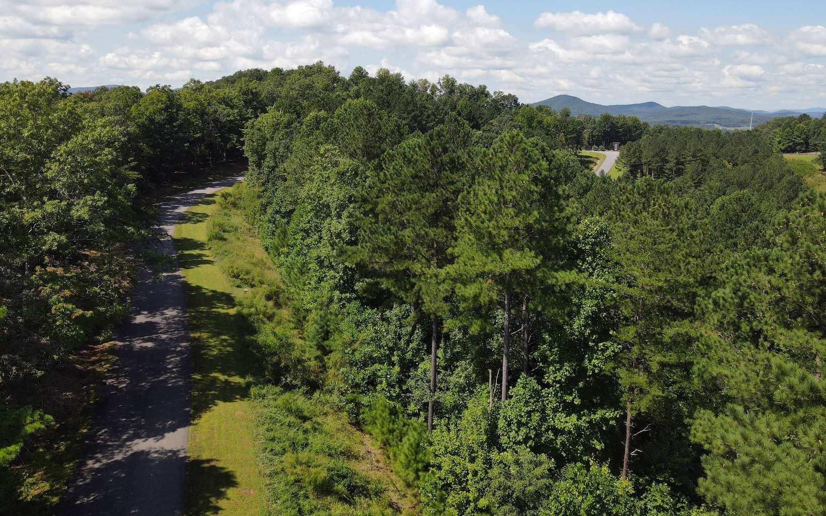 LT 62 Ridge Peak View, Blairsville GA 30512 - Photo